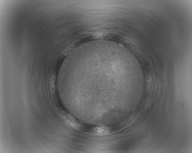 X0000067470275200604101207