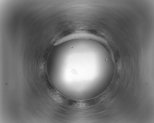 X0000067470276200604101207