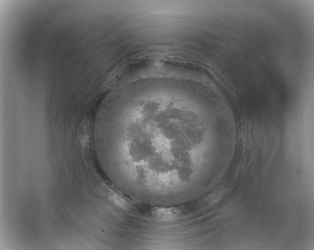 X0000067470277200604101207