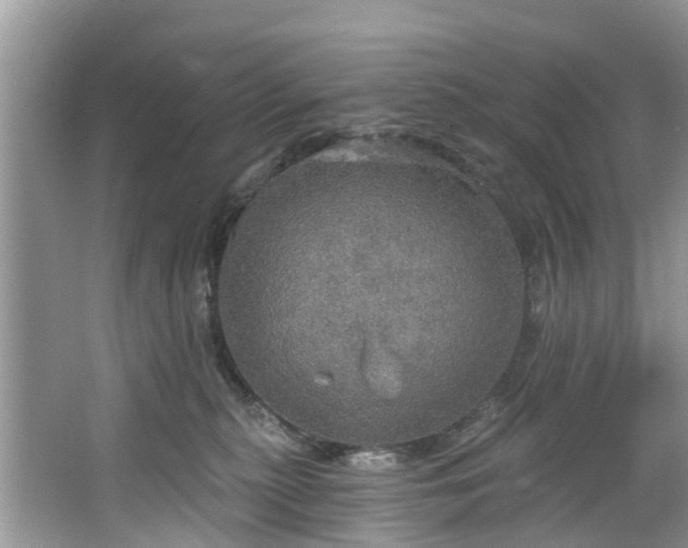 X0000067470279200604101207