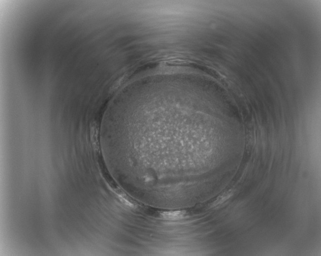 X0000067470281200604101207