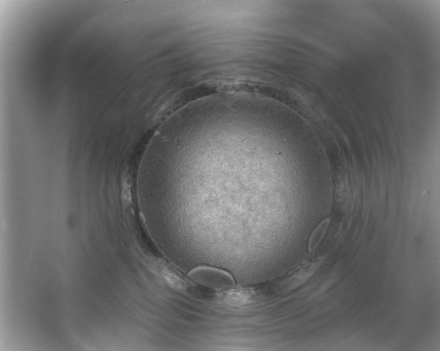 X0000067470282200604101207