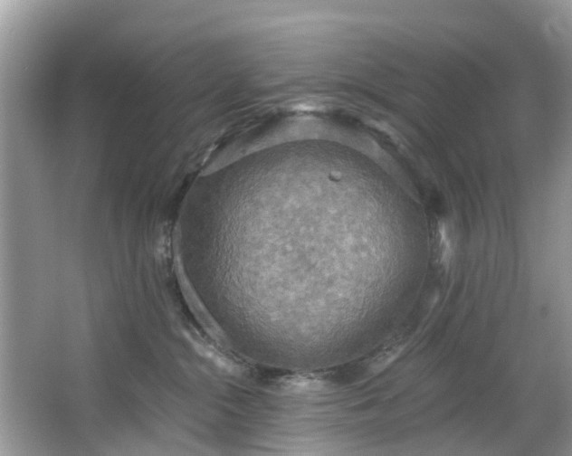 X0000067470284200604101207