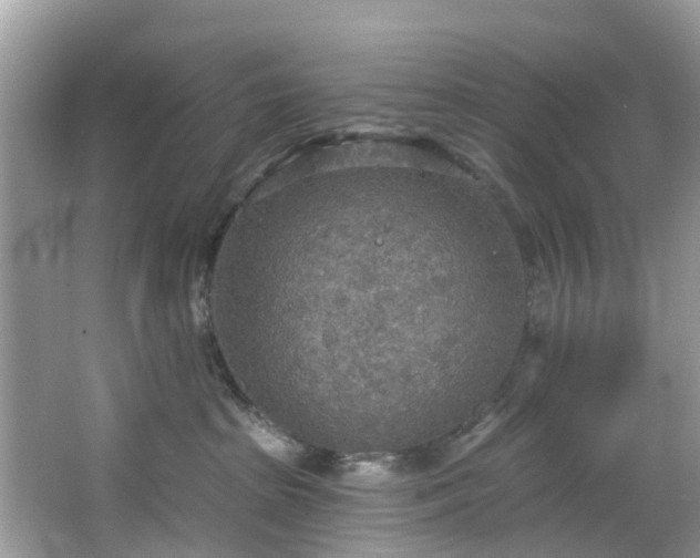 X0000067470285200604101207