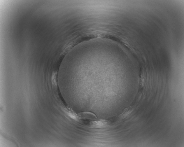 X0000067470286200604101207