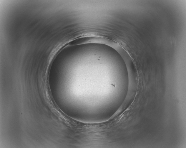 X0000067470289200604101206