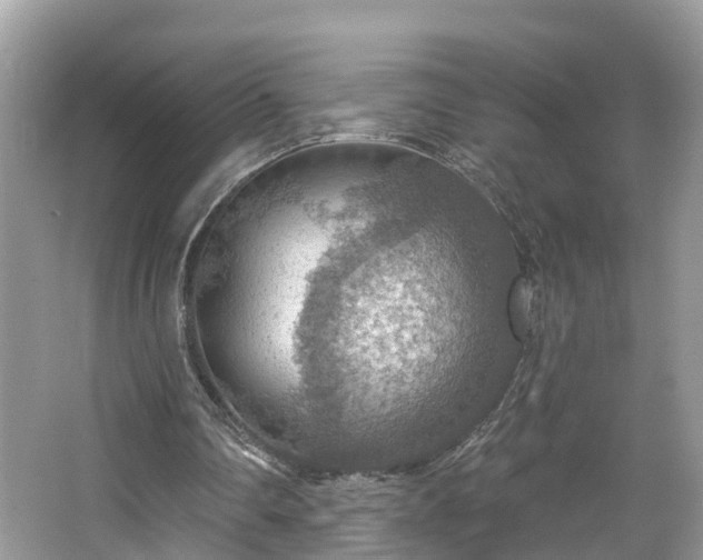 X0000067470290200604101206