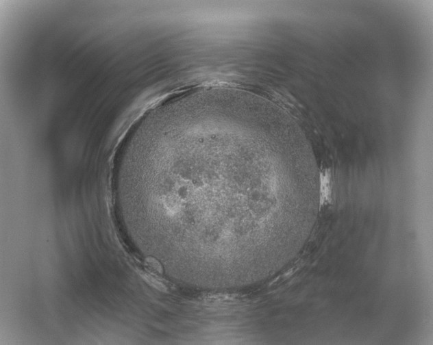 X0000067470291200604101206