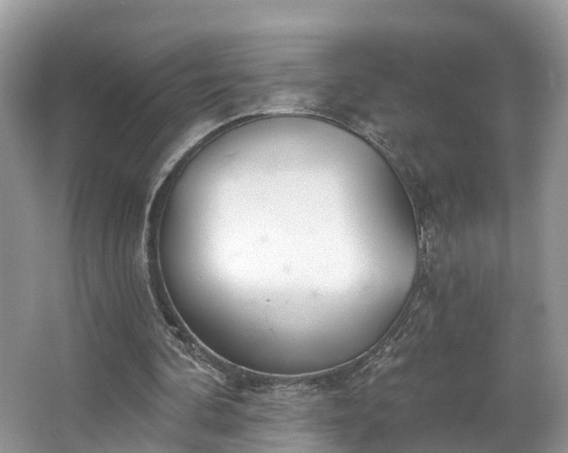 X0000067470292200604101206