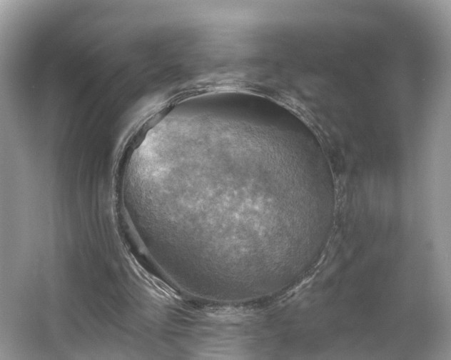 X0000067470293200604101206