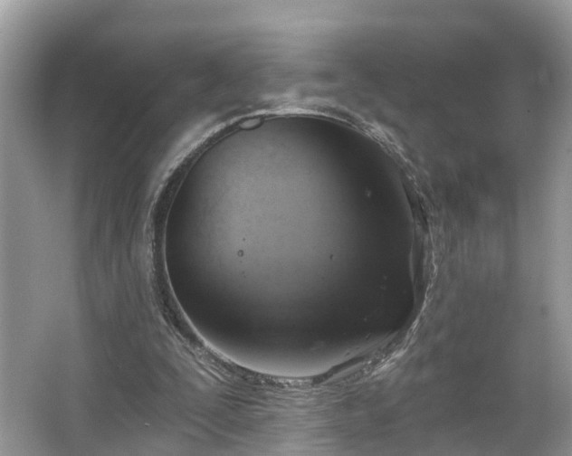 X0000067470295200604101206