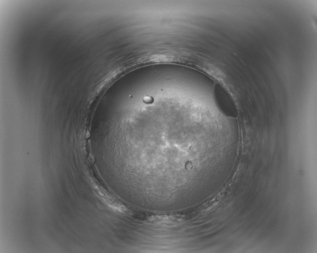 X0000067470297200604101206