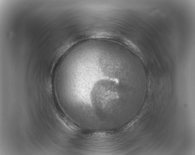 X0000067470298200604101206