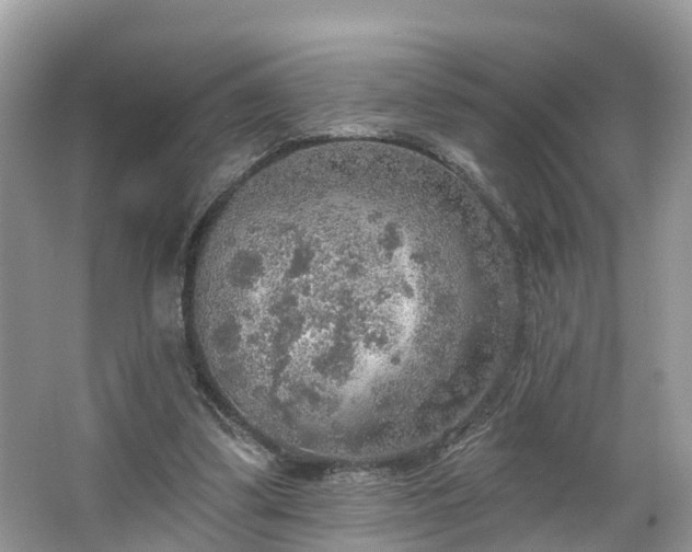 X0000067470299200604101206