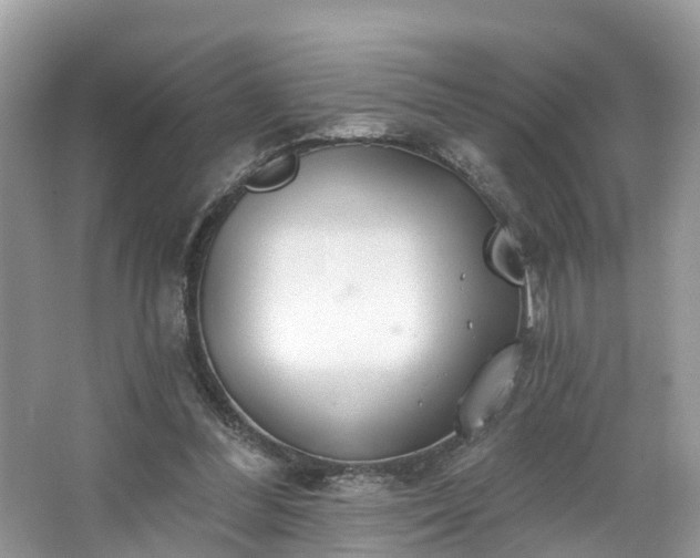 X0000067470300200604101206