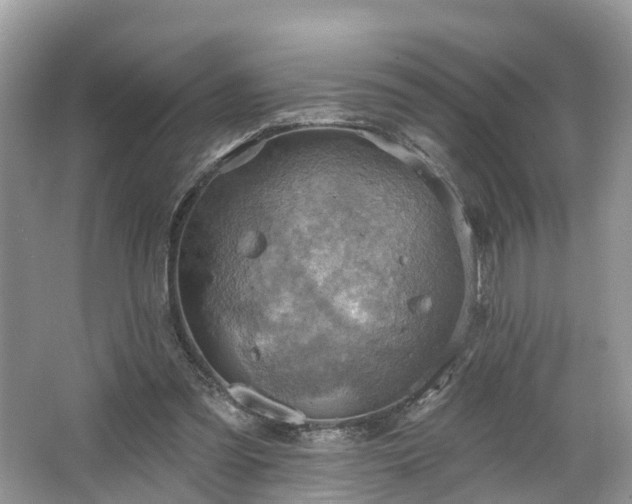 X0000067470301200604101206