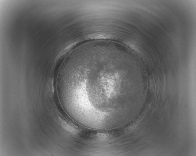 X0000067470302200604101206