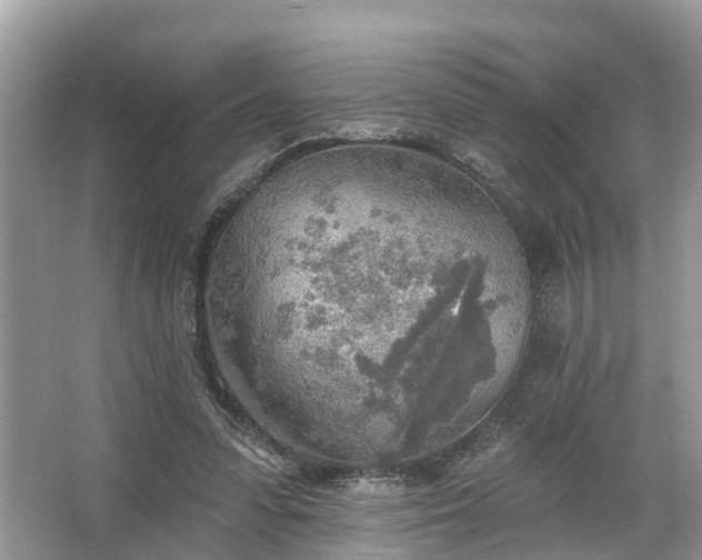 X0000067470303200604101206