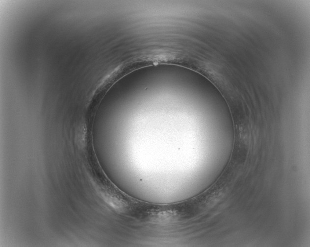 X0000067470304200604101206