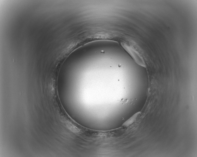 X0000067470305200604101206