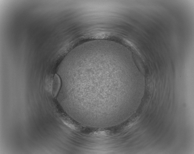 X0000067470307200604101206