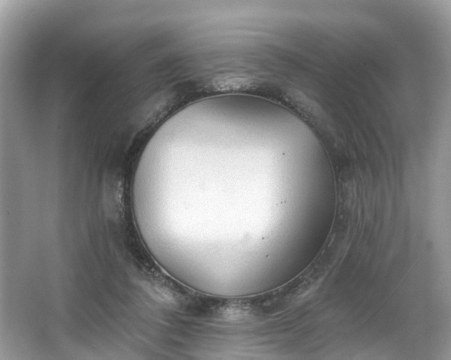 X0000067470308200604101206