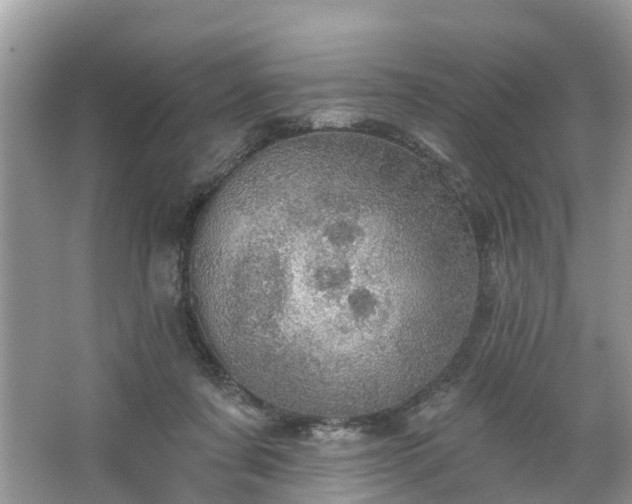 X0000067470311200604101206