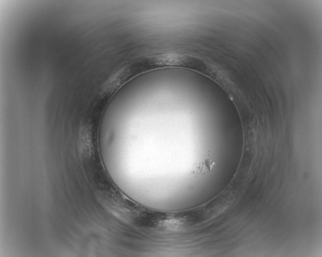 X0000067470312200604101206