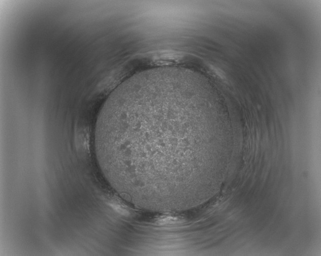 X0000067470315200604101206