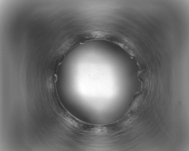 X0000067470317200604101206