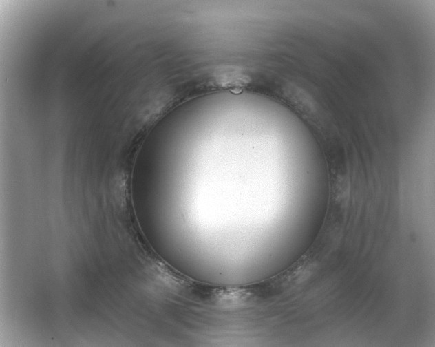 X0000067470321200604101206