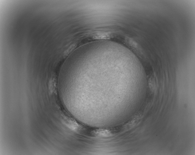 X0000067470322200604101206