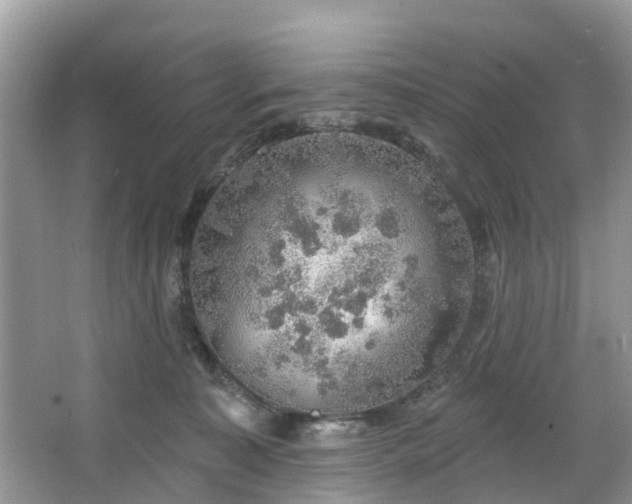 X0000067470323200604101205