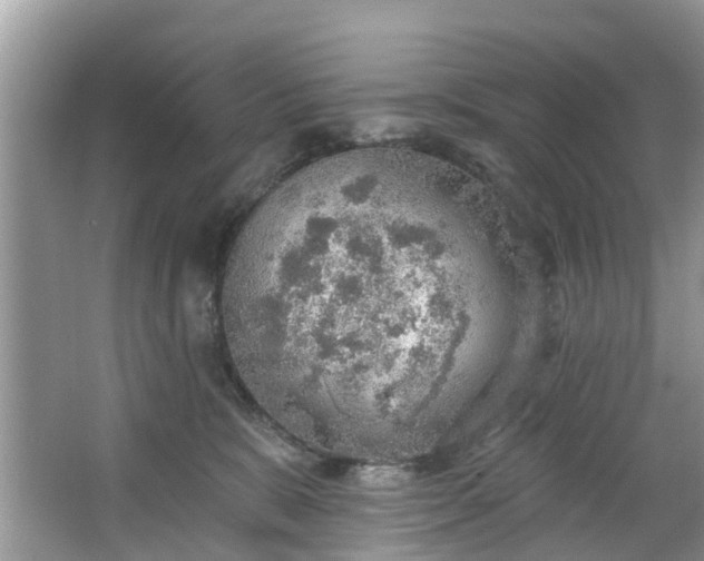 X0000067470327200604101205