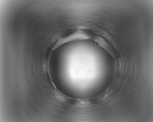 X0000067470329200604101205