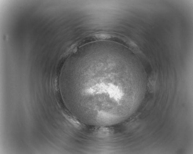 X0000067470330200604101205