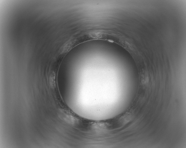 X0000067470332200604101205