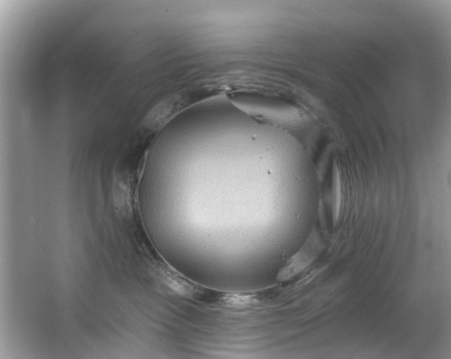 X0000067470333200604101205