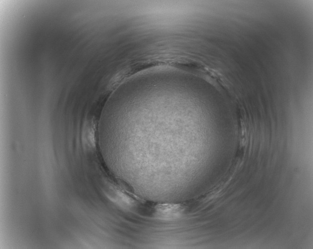 X0000067470334200604101205