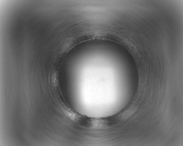 X0000067470336200604101205