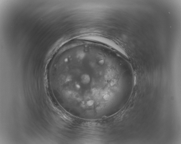 X0000067470339200604101204