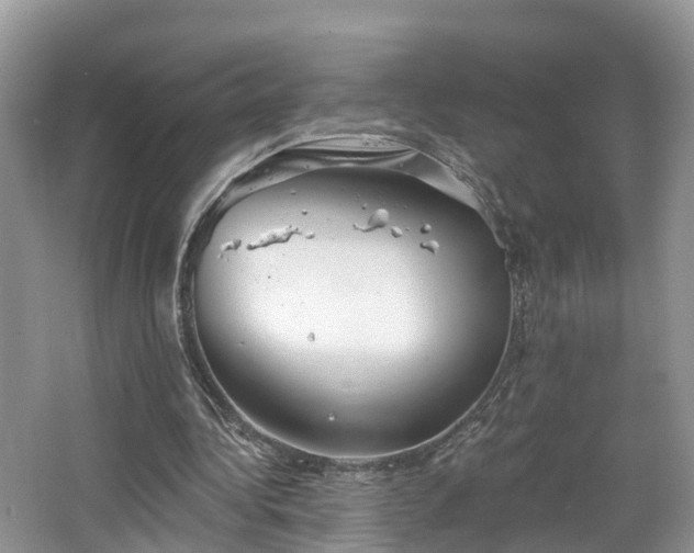 X0000067470340200604101205