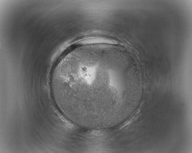 X0000067470341200604101205