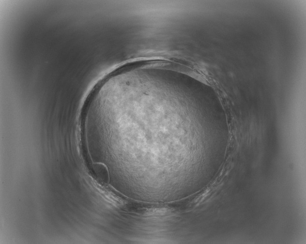 X0000067470342200604101205