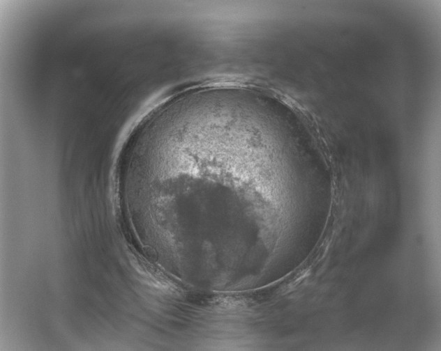 X0000067470343200604101205