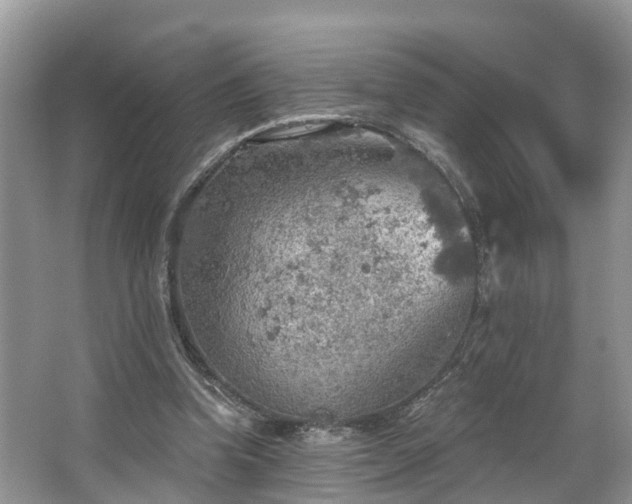 X0000067470346200604101205