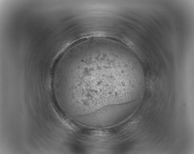 X0000067470347200604101205