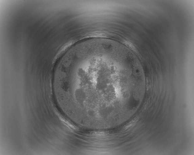 X0000067470349200604101205