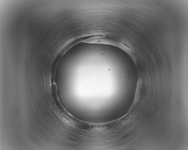 X0000067470350200604101205