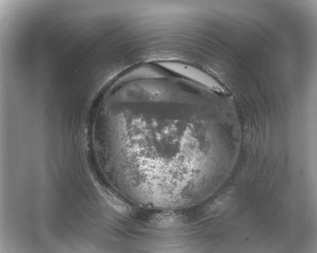 X0000067470351200604101205